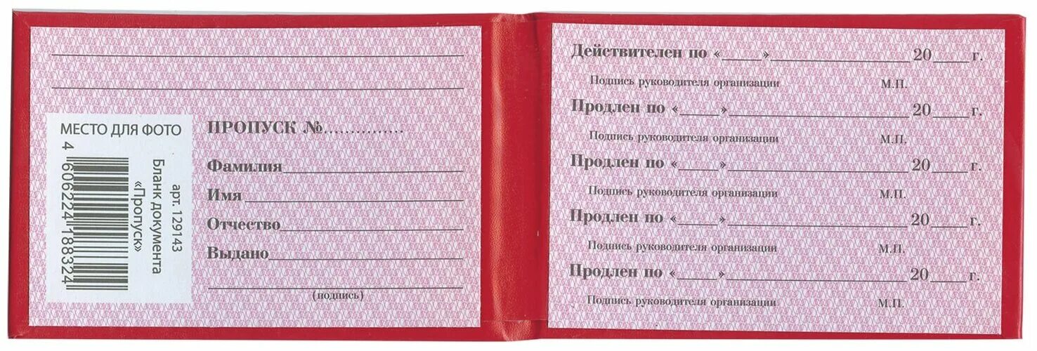 временный пропуск образец. форма пропуска. одноразовый пропуск. бланк документа пропуск. образец пропуска для сотрудников.