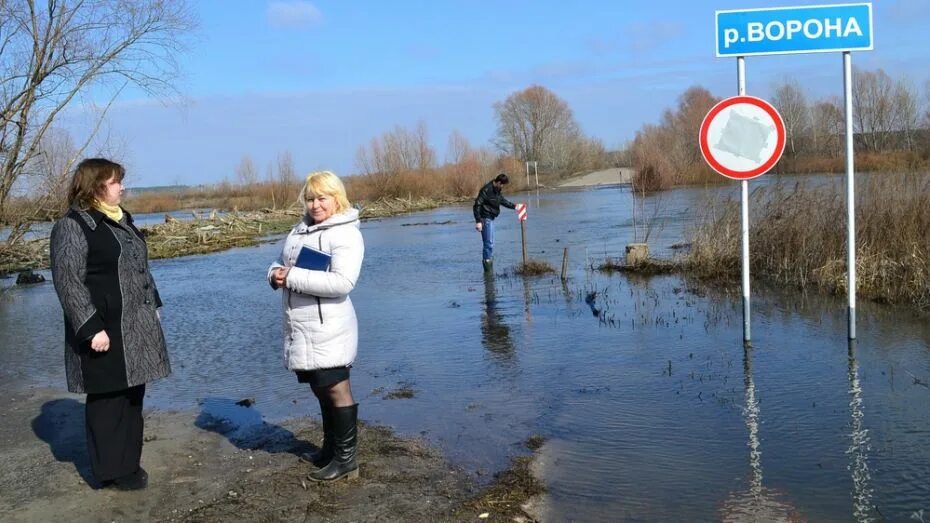 Кутки воронежская область