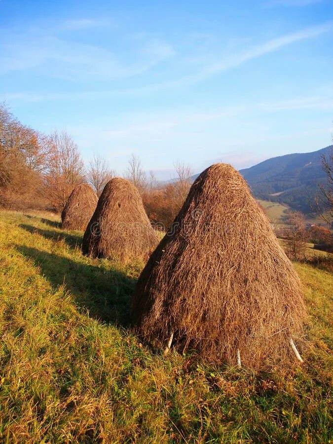 Стог сена. Копна сена. Скирда сена. Стога из сена. Три стога сена