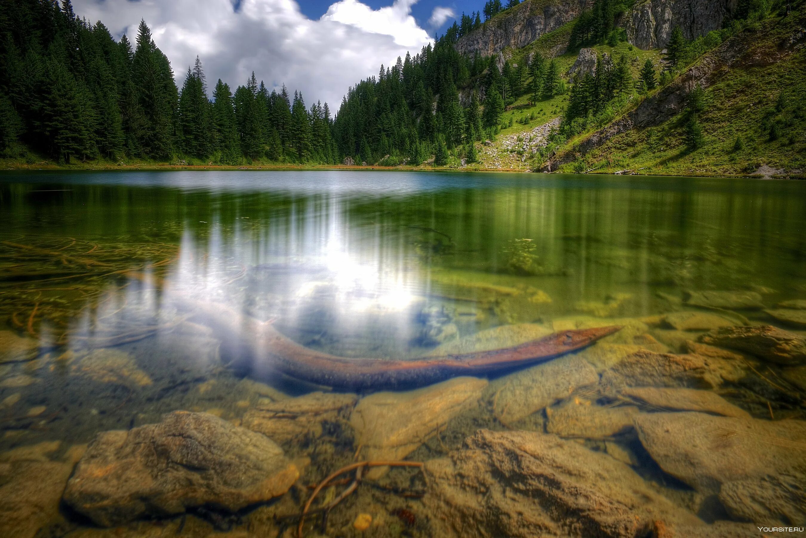 Красота воды река. Красивое озеро. Красивая река. Чистая природа. Красивое озеро в лесу.