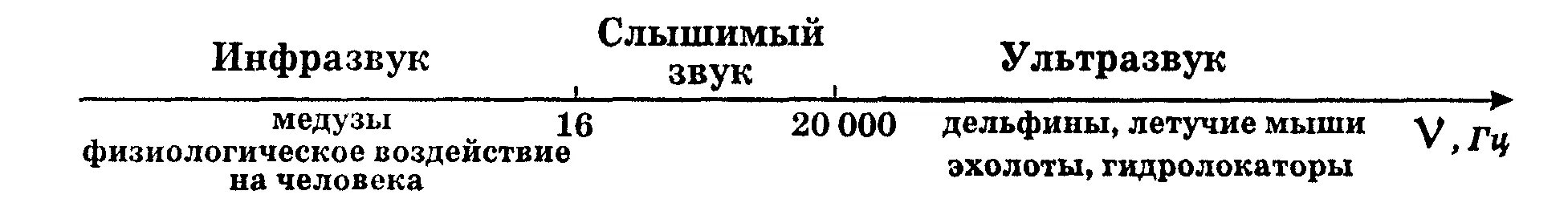 Слышу ультразвук. Ультразвук и инфразвук схема. Звук инфразвук ультразвук. Ультразвук инфазв. Таблица инфразвук и ультразвук.