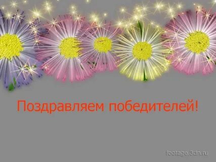 Поздравляем победителей и участников