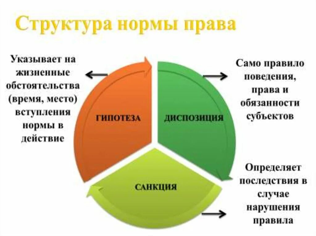 Жизненных обстоятельств закон. Структурные элементы юридической нормы. Строение правовой нормы.