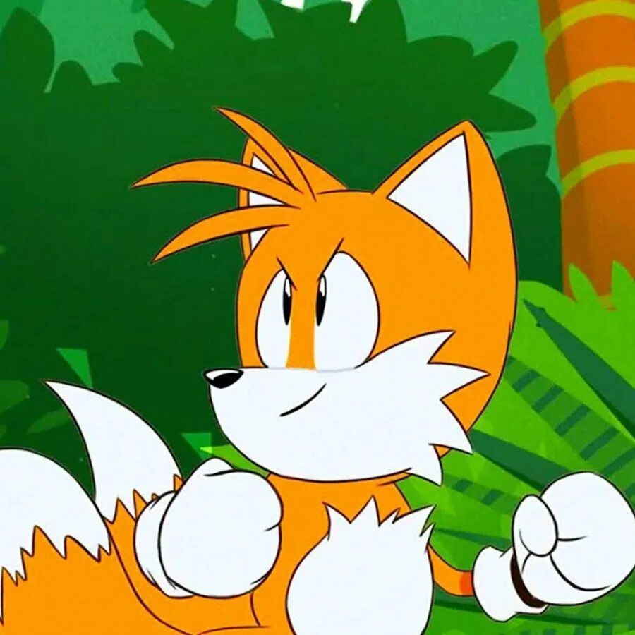 Соник и тейлз. Tails tv. Майлз «тейлз» прауэр. Tails friends. Tails tv.
