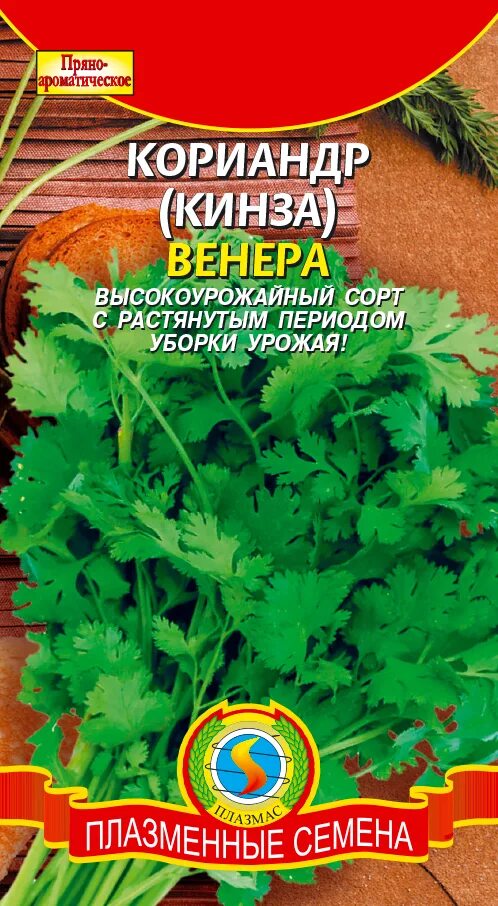 кашнич кориандр. кориандр янтарь. как по другому называется кориандр. кориандр (кинза). как по другому называется кориандр.