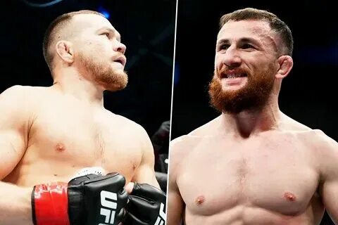 Двалишвили боец ufc. Двалишвили статистика. Двалишвили статистика. Двалишвили статистика. Двалишвили статистика.