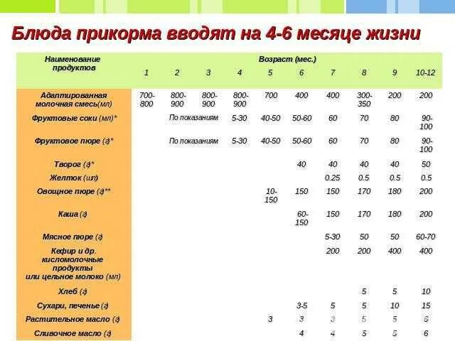 Первый прикорм. Правила введения прикорма. Прикорм при гв. Прикорм и докорм отличия. Сколько прикормов в 6 месяцев