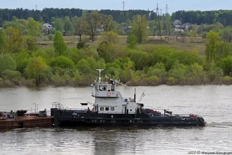 Рт проект