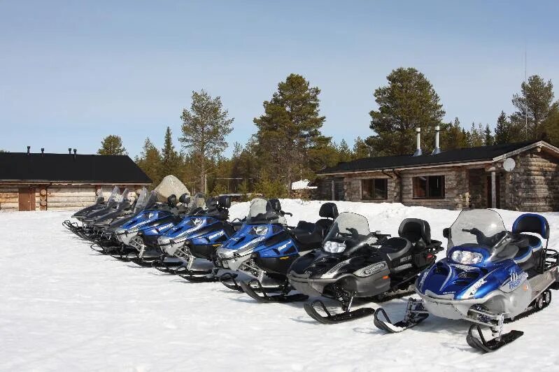 Турбаза снегоходы. Снегоходы по горам. Сафари на снегоходах. Северное сафари кировск. Снегоход в лесу зимой.