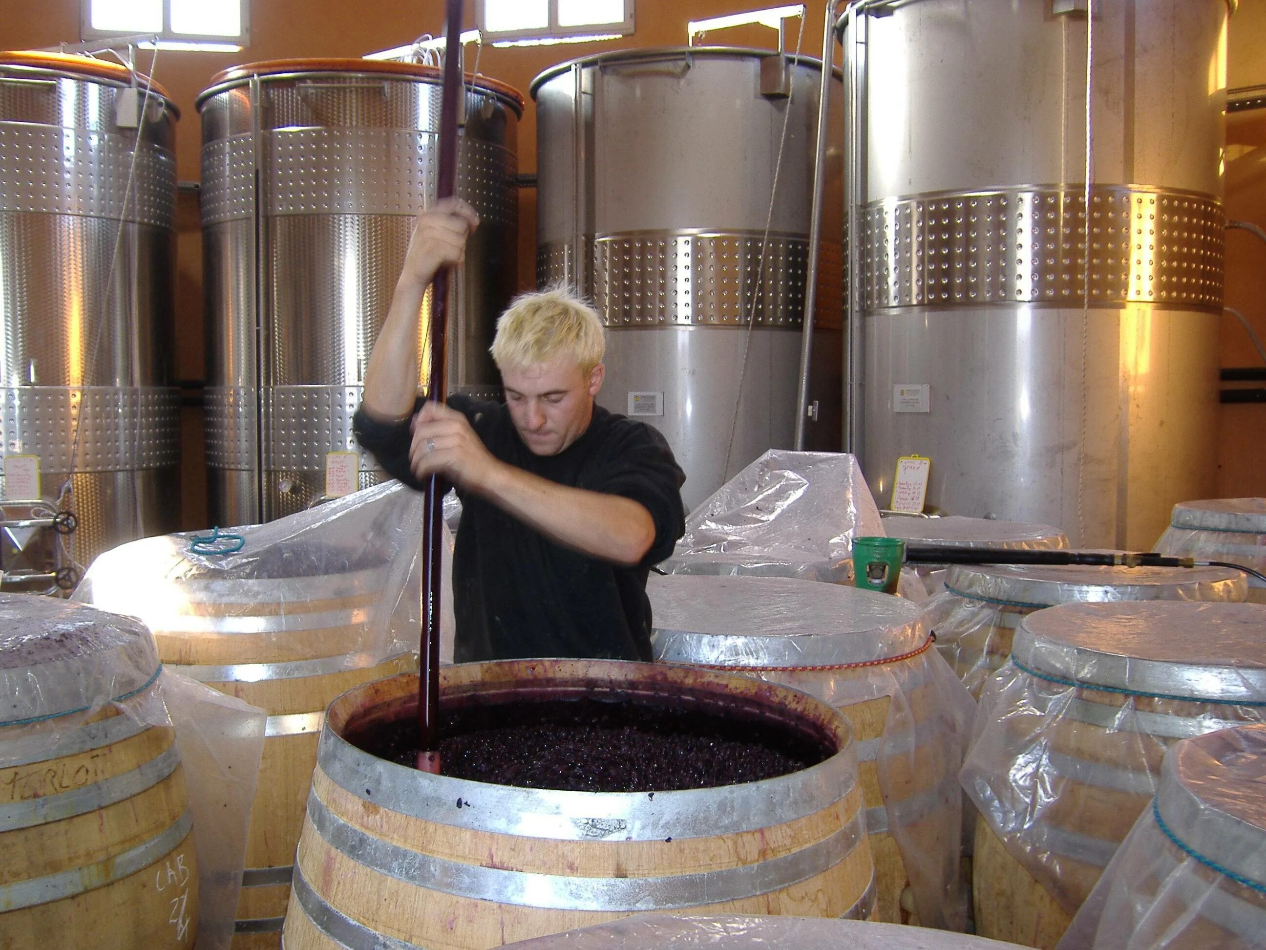 Мацерация вина. Бродильное производство. Производство вина. Виноделие брожение. Сбраживание сусла.