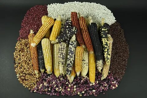 Food crops
