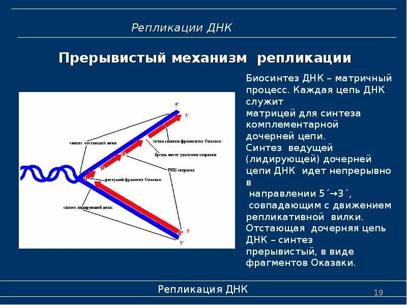 Репликация что это
