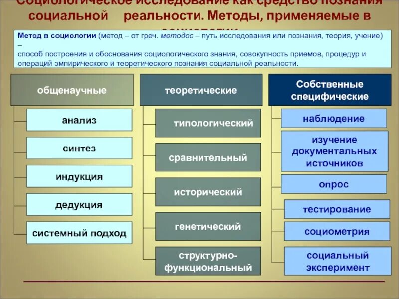 Направления в предметах