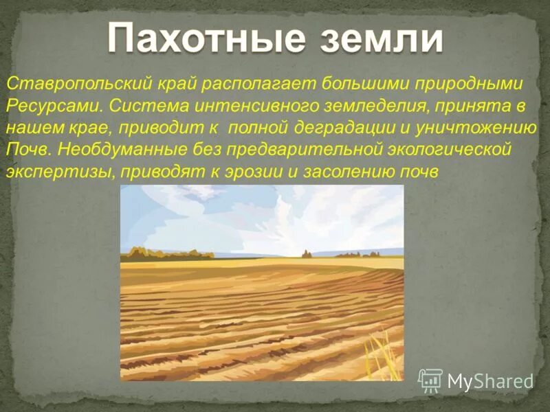 Запишите основные сведения о почвах нашего края. Запишите основные сведения о почвах нашего края. Основные сведения о почвах. Запишите основные сведения о почвах нашего края. Запишите основные сведения о почвах нашего края.