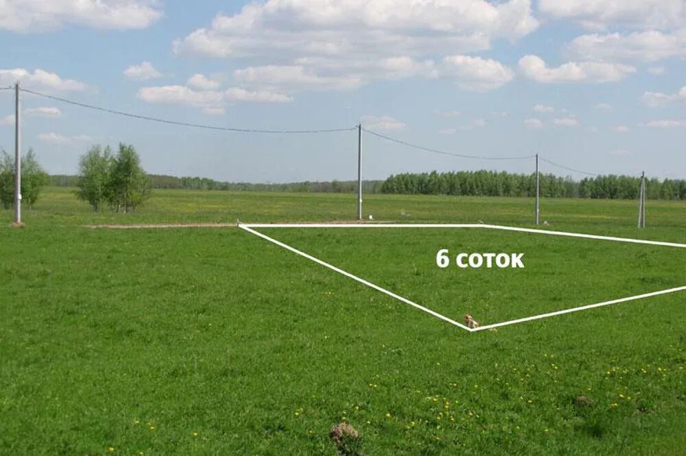 Площадь участка 600 кв м. 1 гектар. Площадь участка 600 кв м. Площадь участка 600 кв м. Площадь участка 600 кв м.