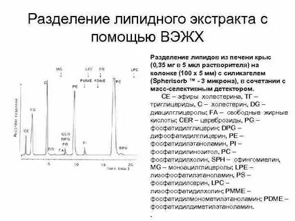 Разделение экстракта листьев метод
