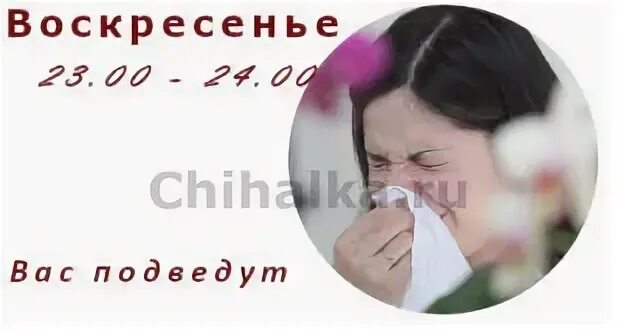 Чихнуть в субботу. Чихнуть в субботу