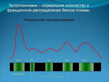 Распределение белков