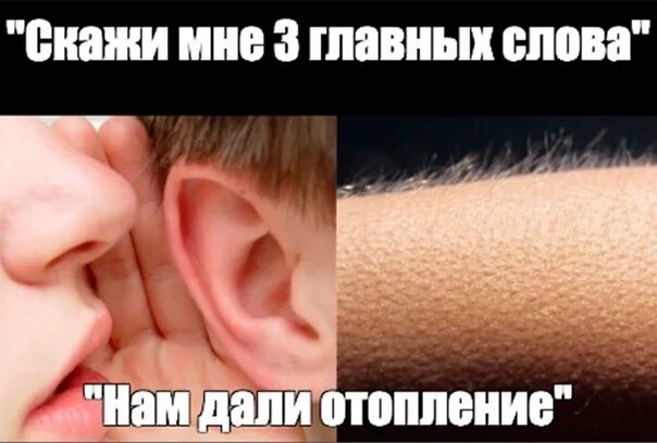 Люблю свою лучшую подругу не путю