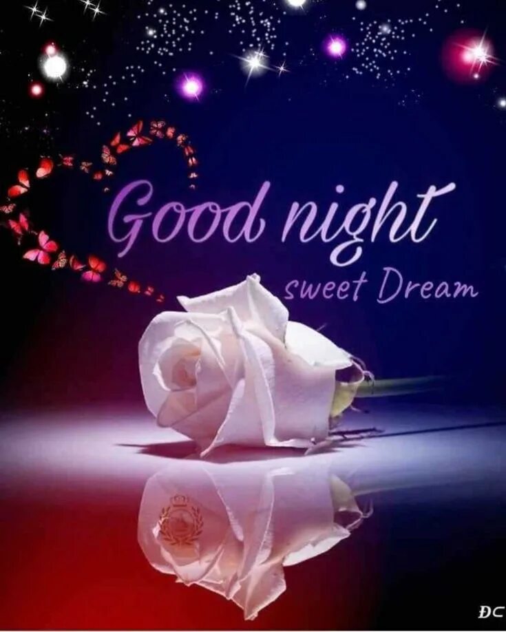 Good Night Sweet Dreams. Открытки good Night Sweet Dreams. Good Night фото. Good Night Sweet Dreams my Love. Good night sweet