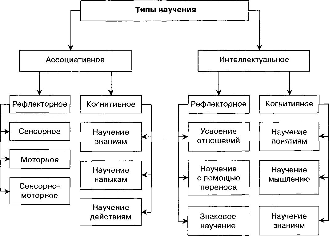 2 научение. Формы научения классификация форм научения. Пассивные формы научения. Виды научения схема. Сложные формы научения.