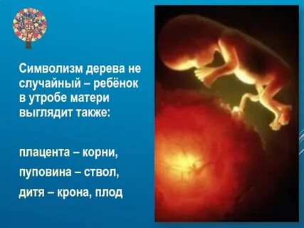 Ходят ли дети в туалет в утробе