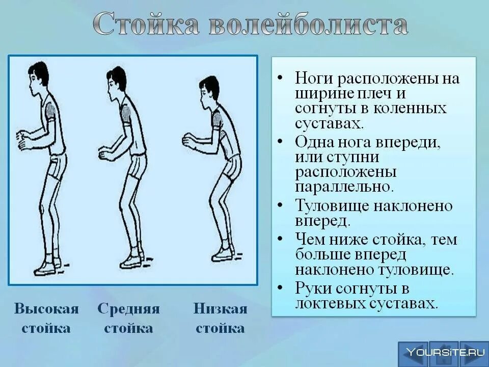 В положении какой стойки. Техника стойки волейболиста. стойка игрока в волейболе. основные стойки в волейболе. стойки и передвижения в волейболе.