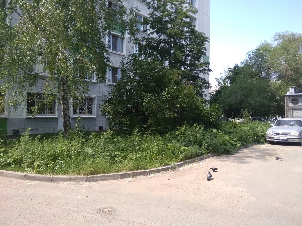 Татарстан 53 а казань улица. Татарстана 51 год постройки. Татарстана 51 казань. Салиха батыева 7 казань. Татарстан д 51.