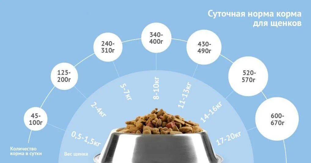 Сколько корма надо собаке. Норма корма для собак. Сколько граммов корма давать щенку в 2 месяца. Суточная норма корма для собак. Норма порции сухого корма для собак.