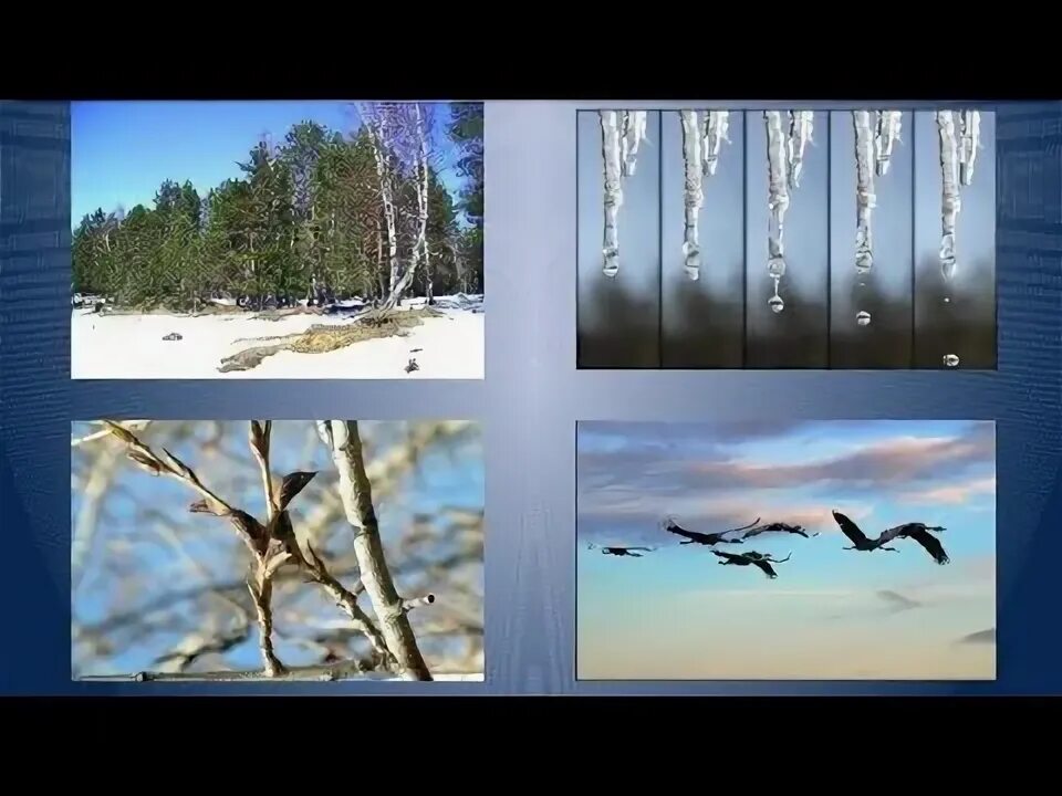 Как узнать о приходе весны. Признаки весны. признаки ранней весны.
