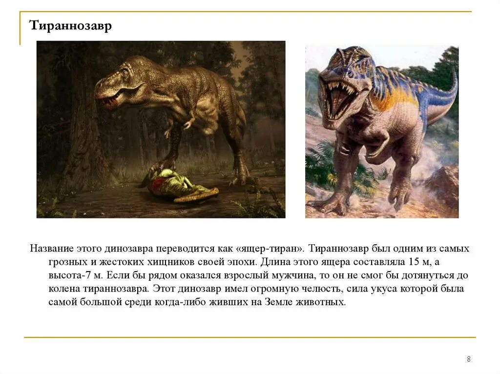 Рост тираннозавра. Рост тираннозавра
