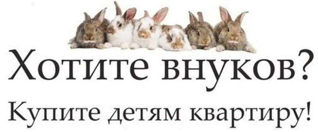Когда родители требуют внуков. «хотите внуков – купите детям квартиру!» слоган. Мама хочет внуков. Хотите внуков купите детям квартиру картинка. Хочу внуков.