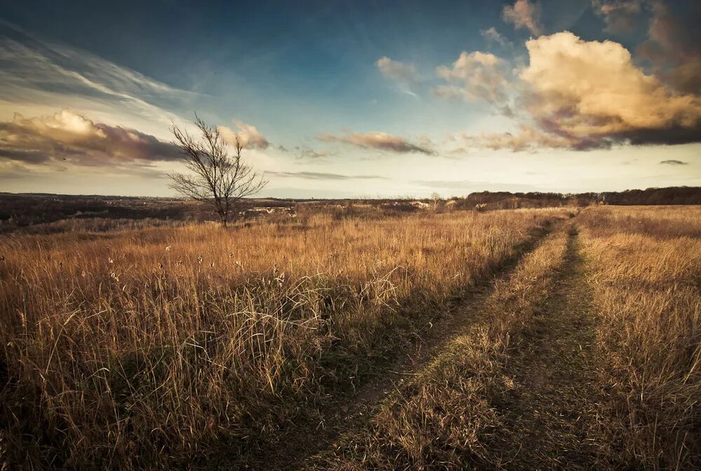 Темное поле. В поле. Закат в поле. Ровное поле. Опустевшие поля.