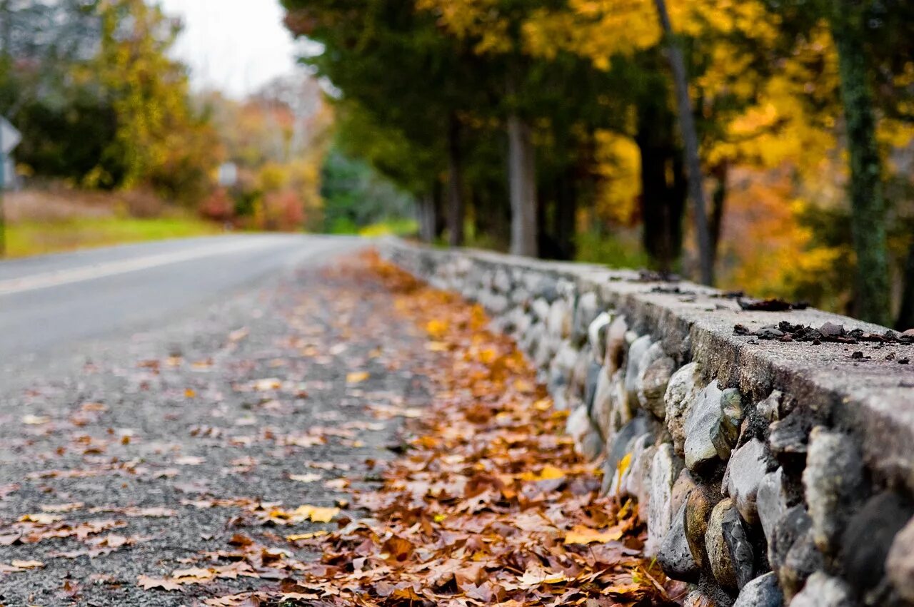 Golden roads. Осенняя листва на дороге. Листва на тротуаре. Каменная дорога. Листья на дороге.