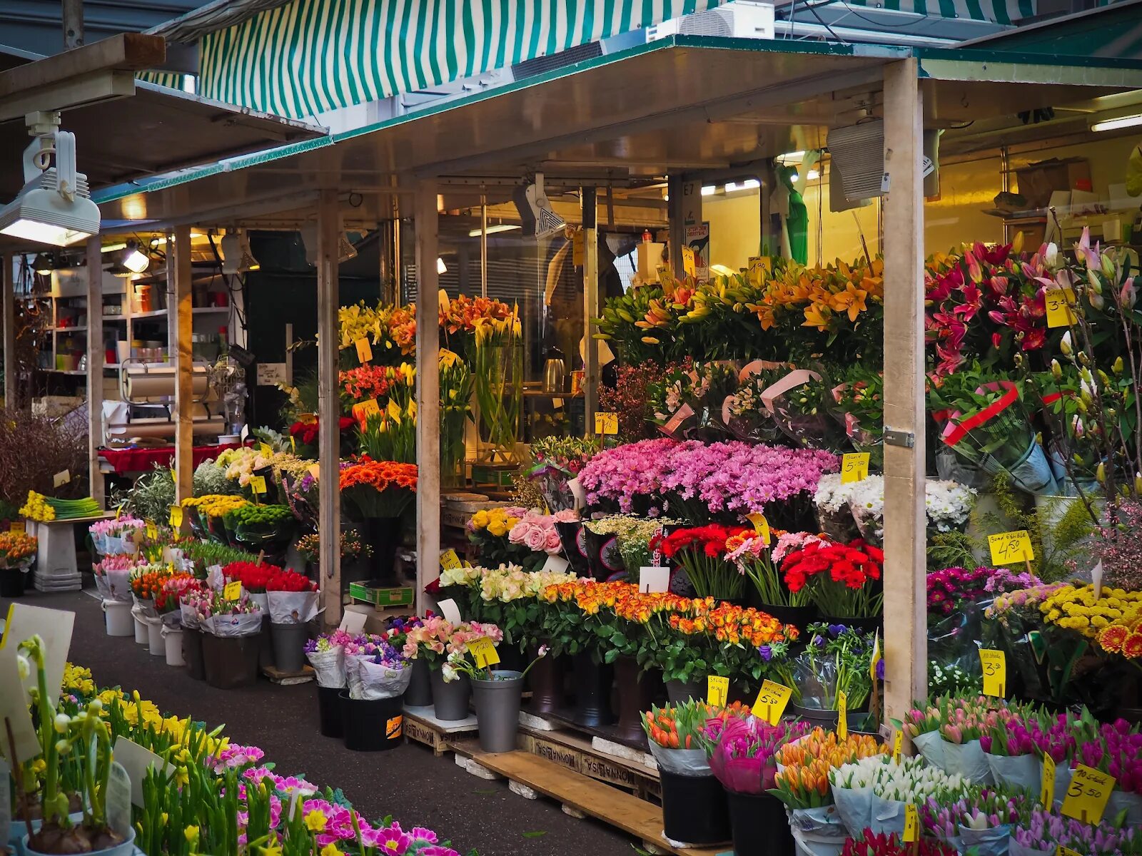 Цветочный магазин экзотические цветы. Цветочный рынок. Красивый цветочный магазин. Рынок цветов. Цветы на рынке.