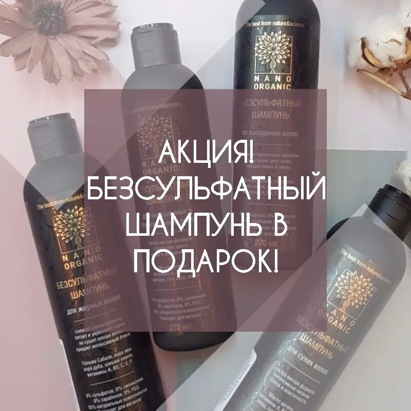 Шампунь безсульфатный облепиховый. Безсульфатные шампуни сиберика. Organic шампунь безсульфатный. Натура сиберика безсульфатный шампунь. Натура сиберика безсульфатный шампунь профессиональный.