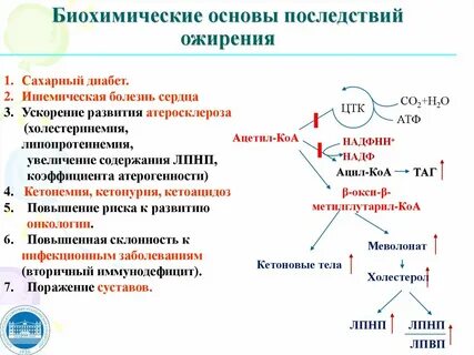 Основной биохимия