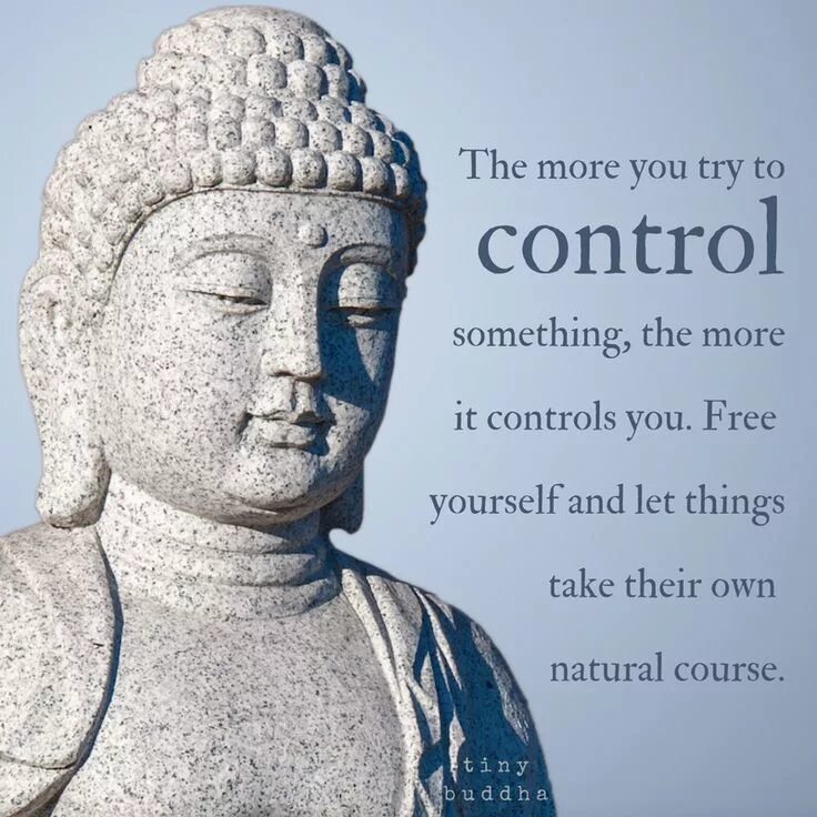 Take control of something