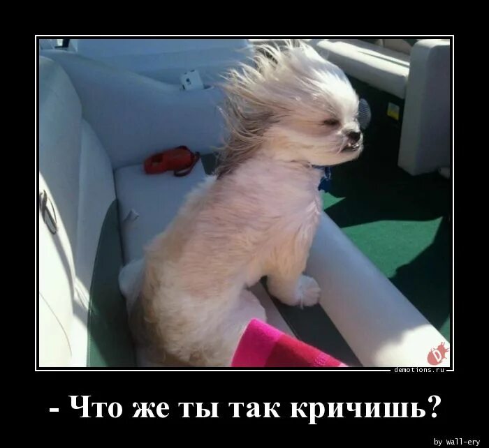 А можно посмешнее. Так ты откашивал прикол. что можно смешного крикнуть.