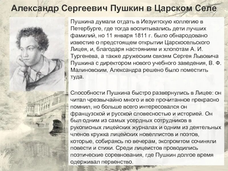 Лицеист пылаев читать полностью
