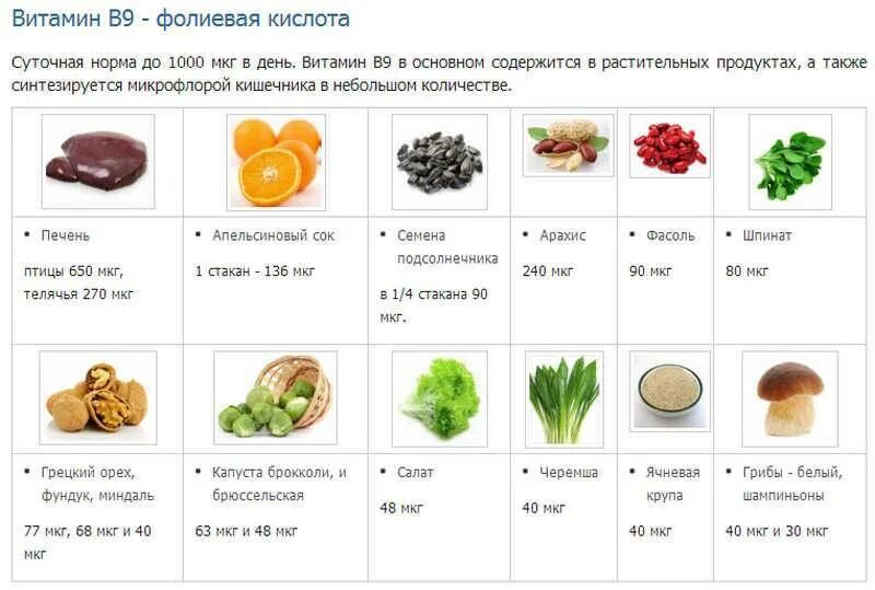 2 4 мкг. Продукты богатые фолиевой кислотой и витамином в9. Продукты богатые фолиевой кислотой таблица. Фолиевая кислота и витамин в9 продукты. Источники витамина в9 в12.