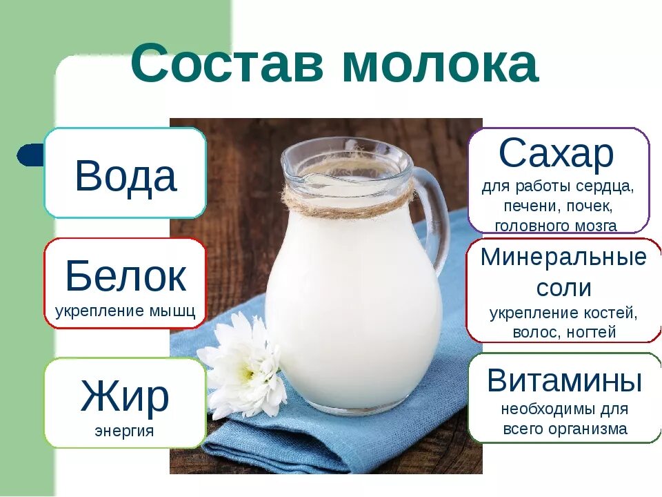 Кисломолочные продукты содержат сахар. Состав молока. Молоко домашнее. Полезное молоко. Из чего состоит молоко.