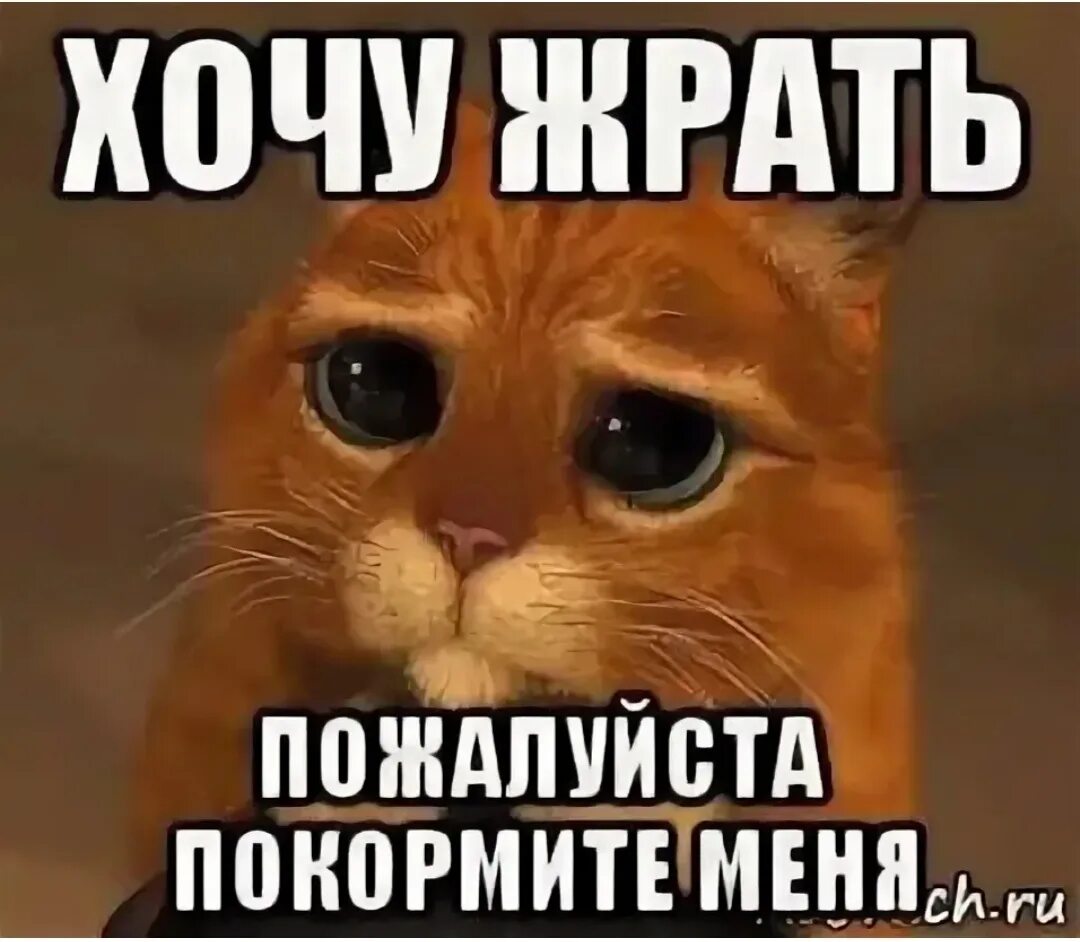 Я очень хочу посетить