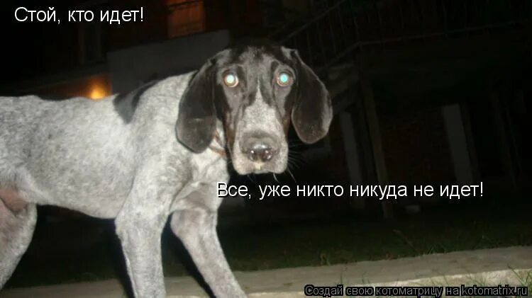 Уже давно меня никуда не тянет