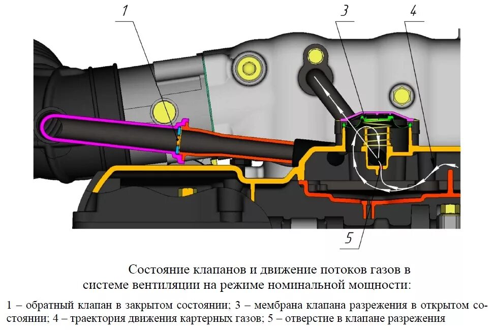 Клапана уаз патриот 409. Вентиляция картерных газов УАЗ Патриот ЗМЗ 409. Вентиляция картера ЗМЗ 409 евро 3. Вентиляция картера УАЗ Патриот 409. Клапан вентиляции картера УАЗ Патриот 409.