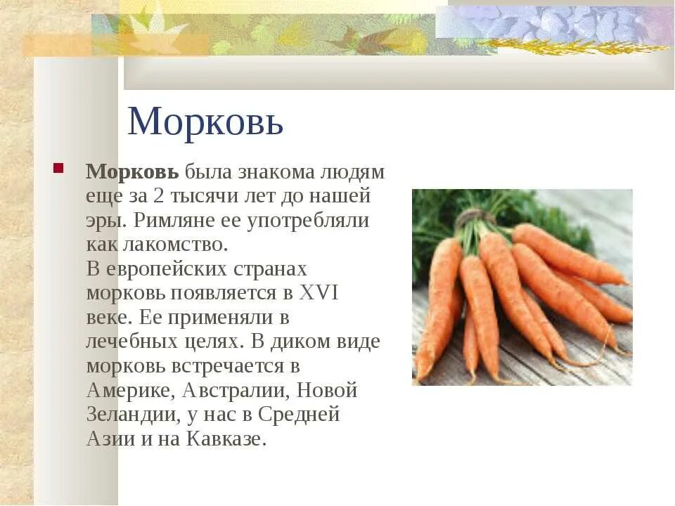 Морковь является растением. Сообщение про морковь. Доклад про морковь. Доклад о морковке. Культурное растение морковь.