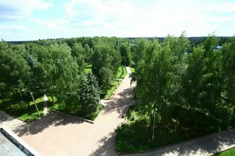 Березовая роща д аксаково