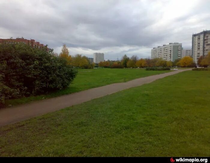 Парк озеро долгое санкт-петербург. Мартыновский сквер спб. Парк озеро долгое санкт-петербург. Парк долгоозерный санкт-петербург. Долгоозерный сквер.