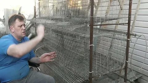 Клетка для несушек своими руками