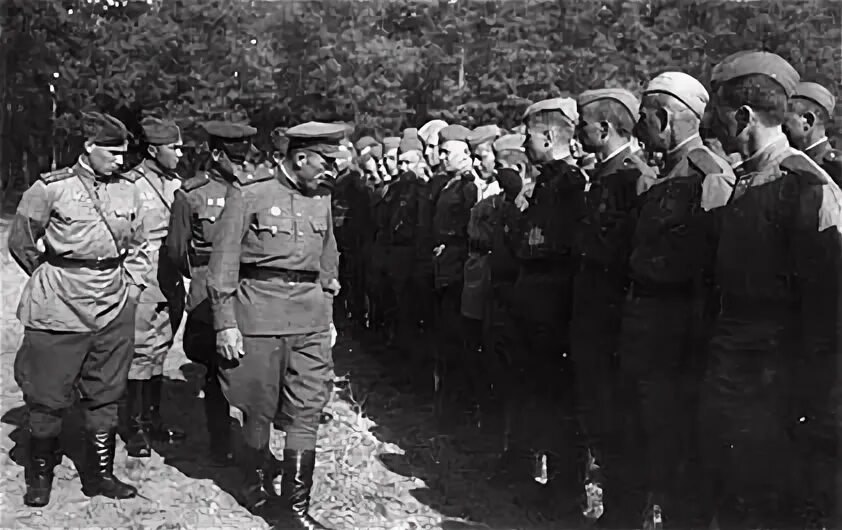 Взвод контрразведки. Взвод пешей разведки. Командир взвода пешей разведки. Взвод пешей разведки. Взвод пешей разведки.